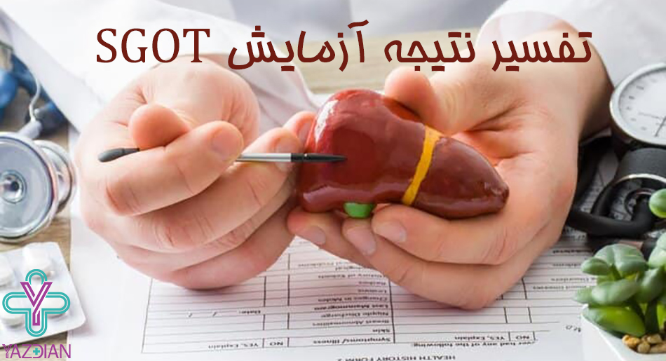 تفسیر نتیجه آزمایش SGOT